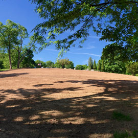 St. Patrick&rsquo;s Cemetery image gallery