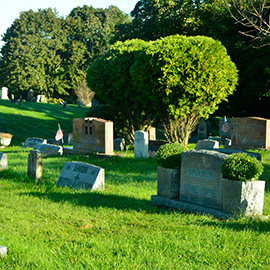 St. Patrick&rsquo;s Cemetery image gallery